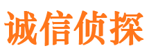 石拐市调查公司